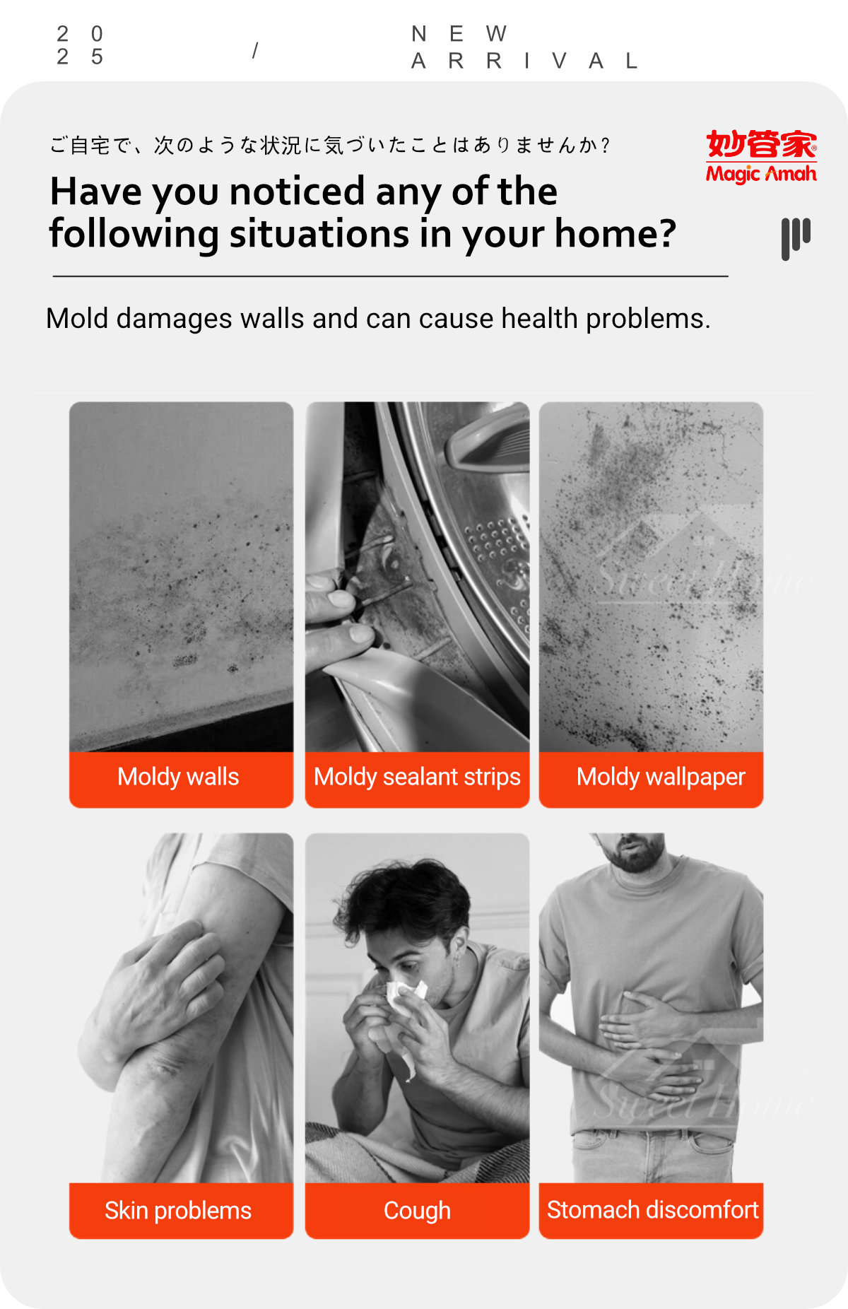 23610-Mold Killer -2